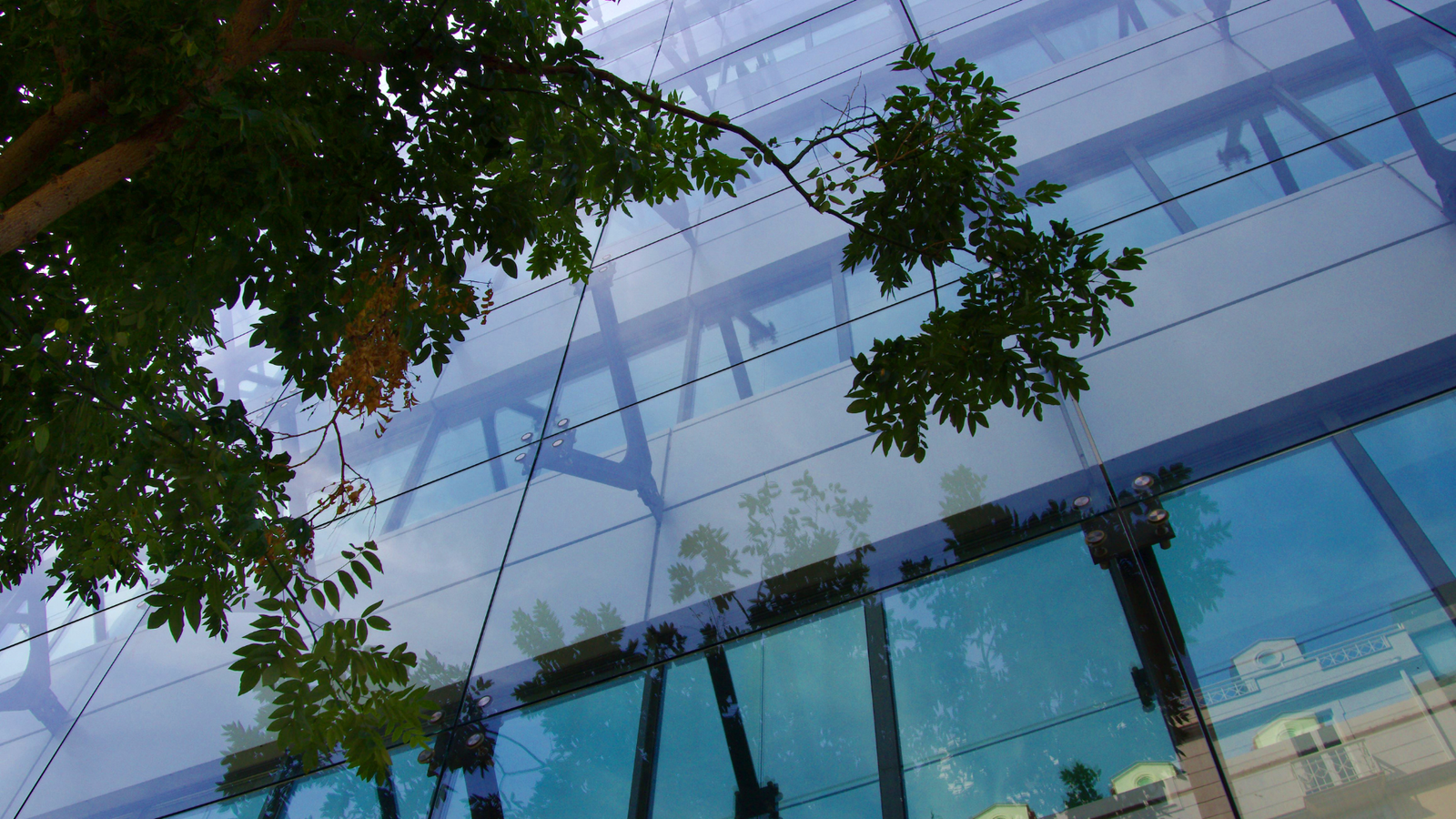 Unternehmensskalierung-richtig-gemacht